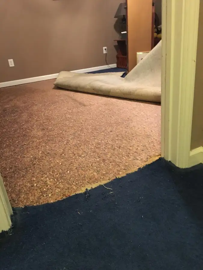 Carpet pad removal revealing water damage during Water Mitigation Services in Sycamore