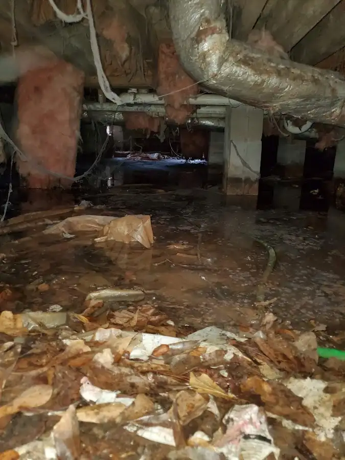 Crawl space flood assessment for Leak Detection & Repair in Sycamore