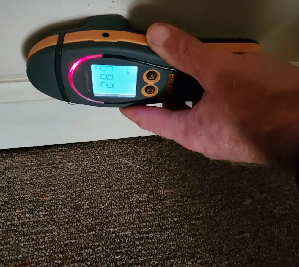 Moisture detection at baseboard during Sewage Cleanup & Sanitation in Sycamore